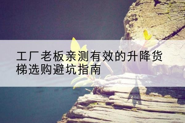 瀍河升降货梯怎么选-工厂老板亲测有效的升降货梯选购避坑指南