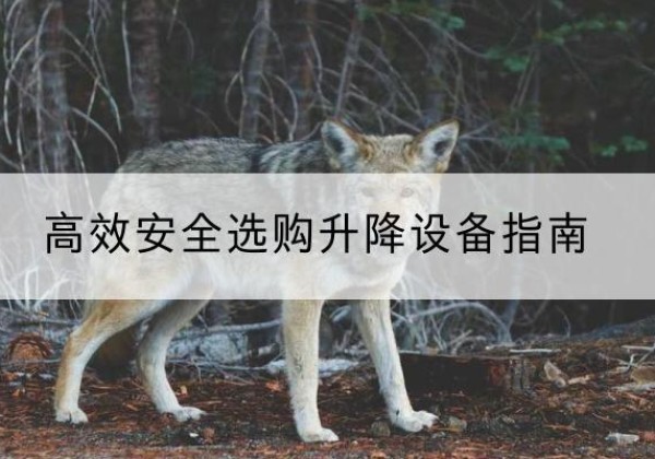 瀍河升降货梯厂家推荐-*安全选购升降设备指南