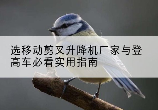 瀍河电动升降机厂家-选移动剪叉升降机厂家与登高车必看实用指南