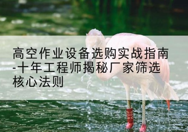 瀍河剪叉式升降机厂家-高空作业设备选购实战指南-十年工程师揭秘厂家筛选核心法则
